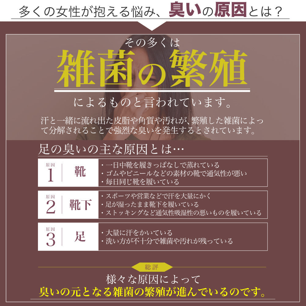 TOLCO 靴の消臭剤 トルコ Tolco 粉 55g